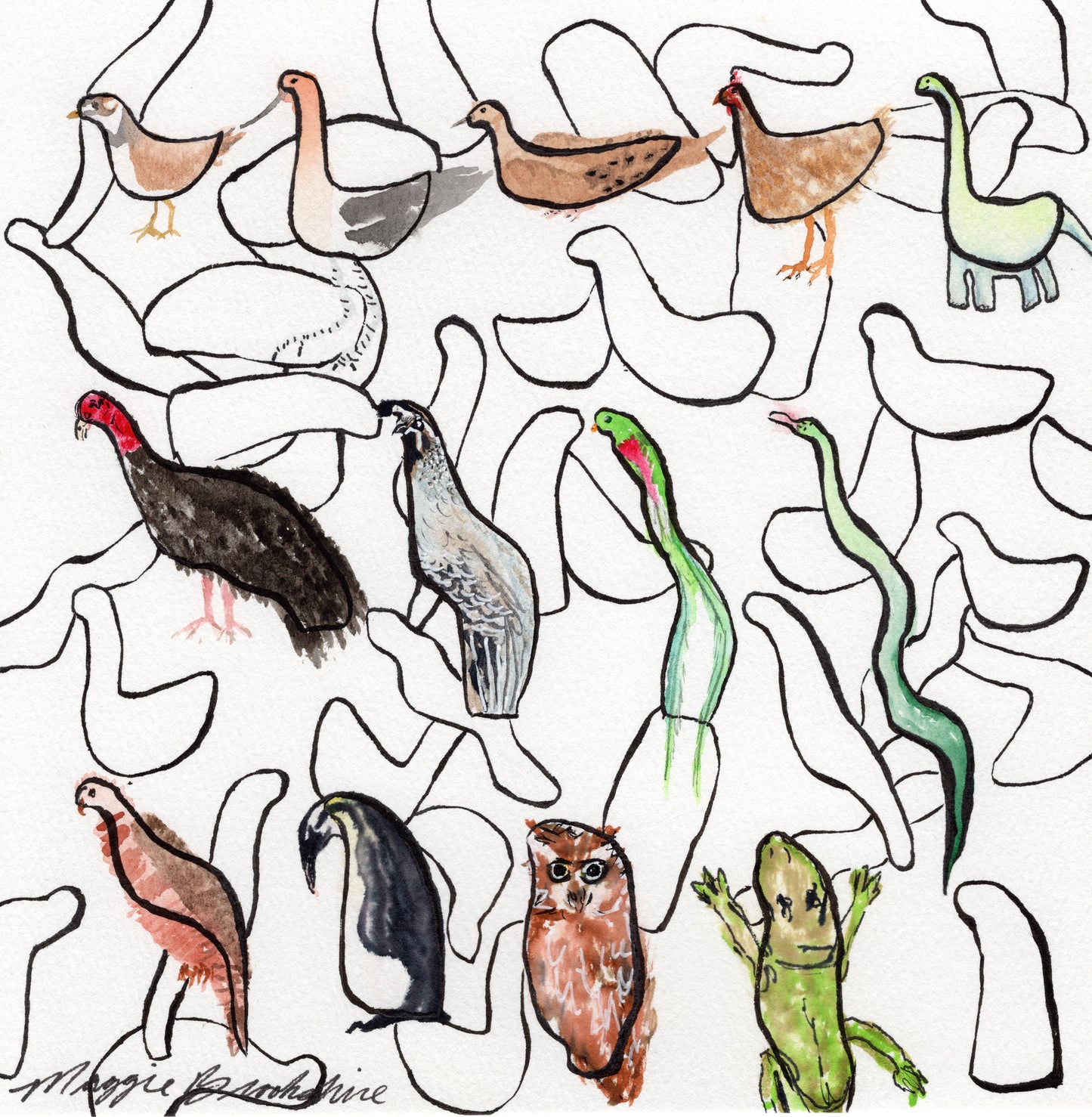 The Evolution of Birds: "GISS" General Impression of Size & Shape