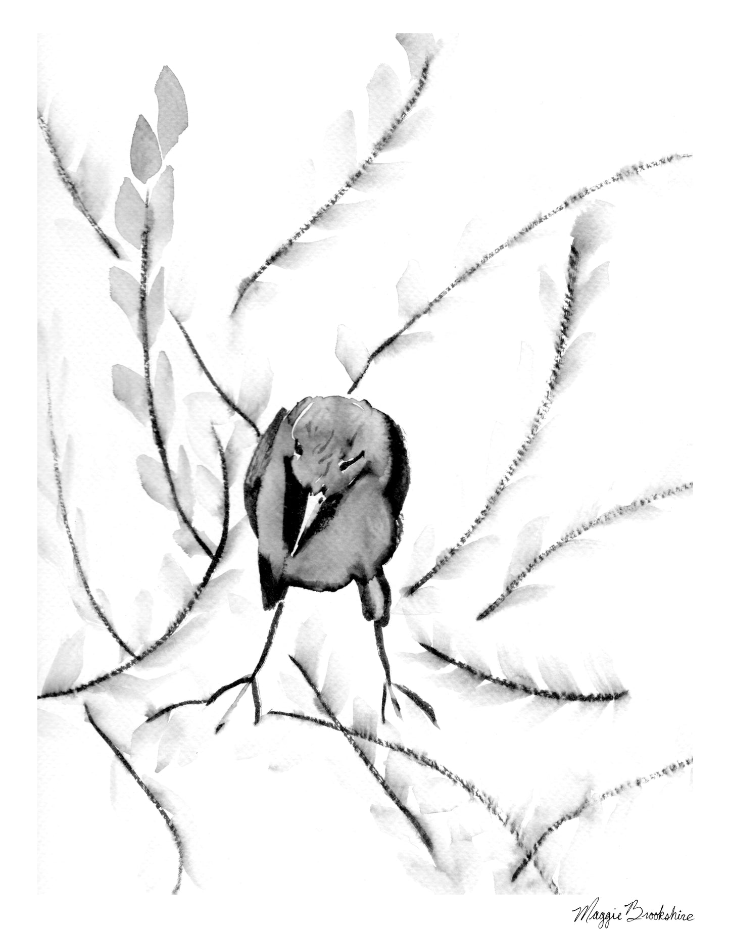 Lady Grackle