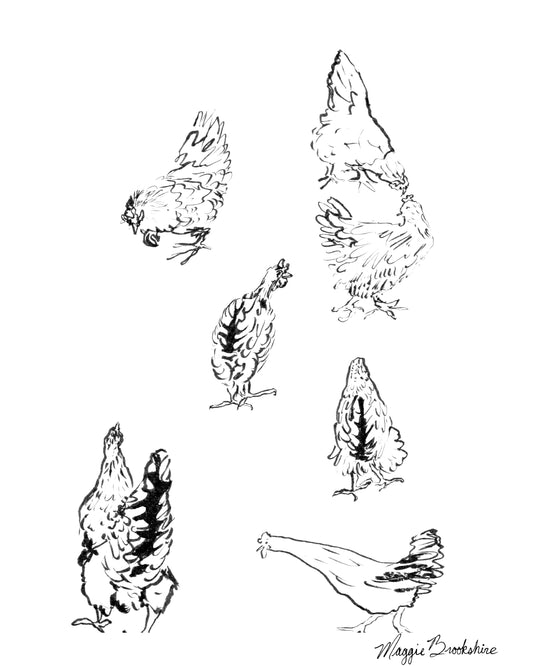 Chicken Character Sketch