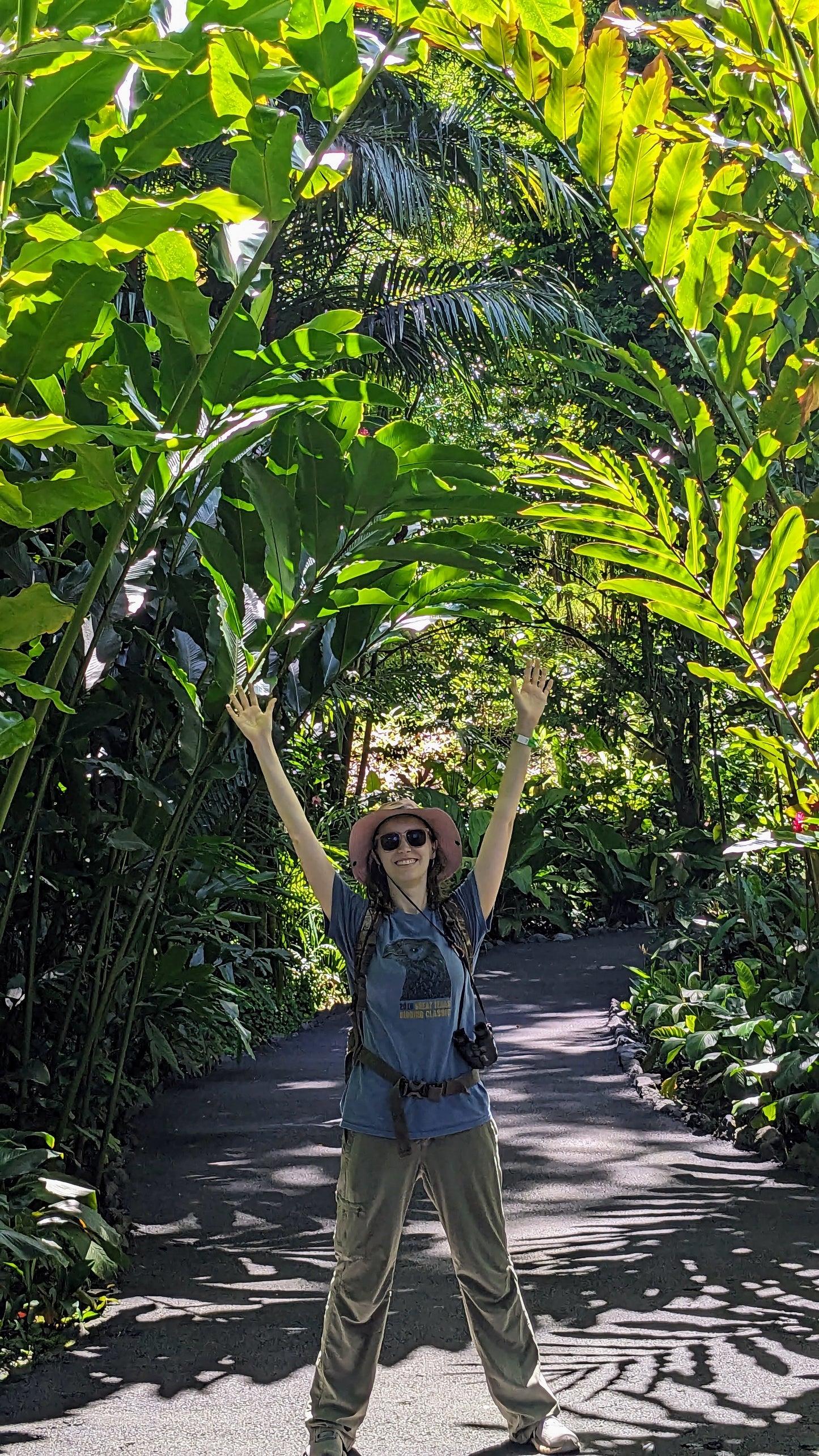 Cool Palms