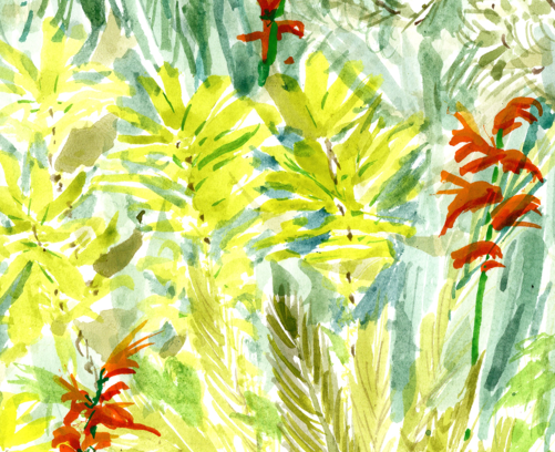 Round Rock Jungle Dream