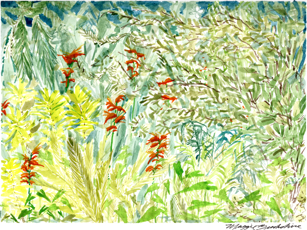 Round Rock Jungle Dream