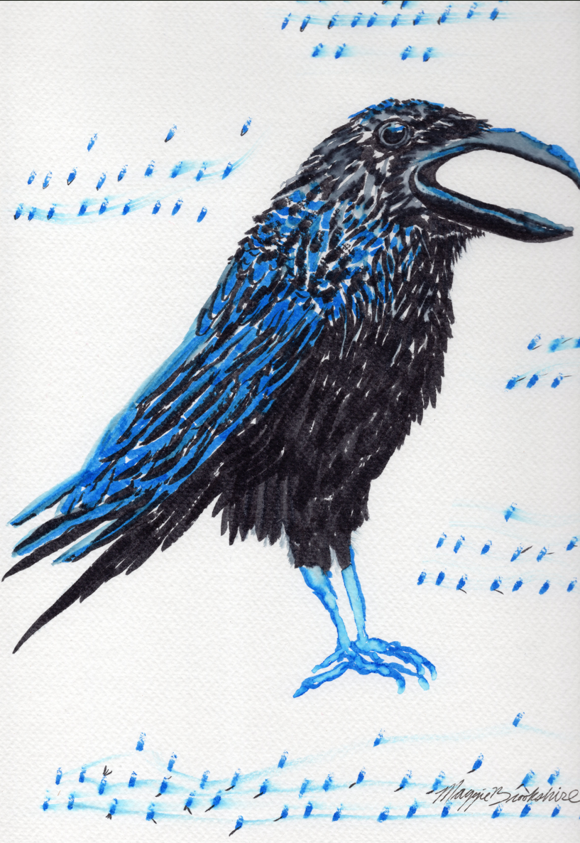 Corvid in Blue