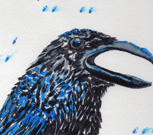 Corvid in Blue