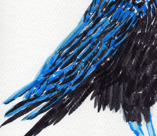 Corvid in Blue