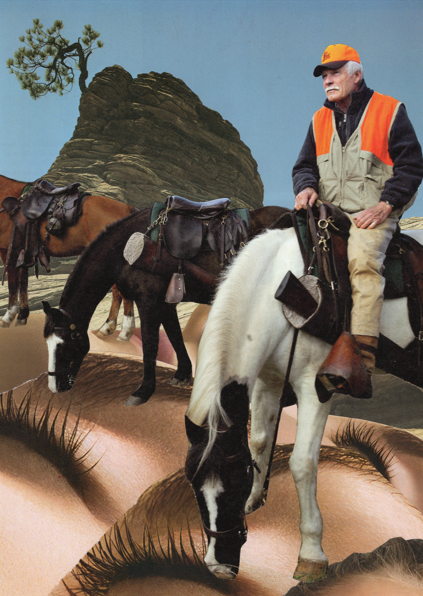 Natural Contours: Paper collage