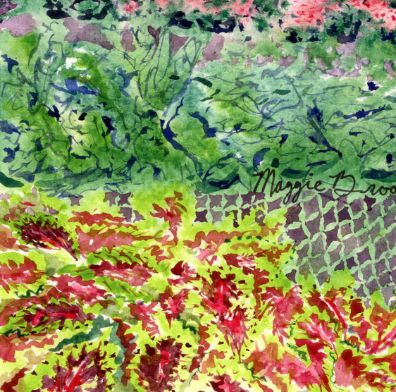 Garden Center Mist