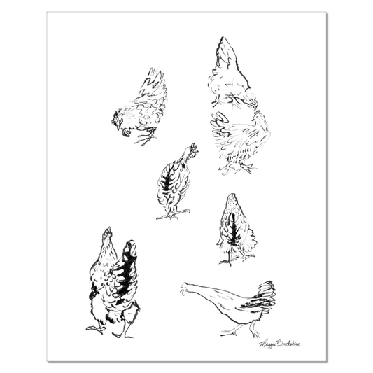 Chicken Character Sketch