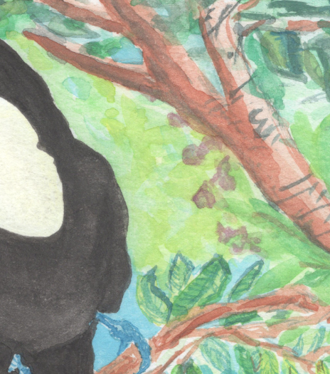 "Toucan" Original Watercolor Painting