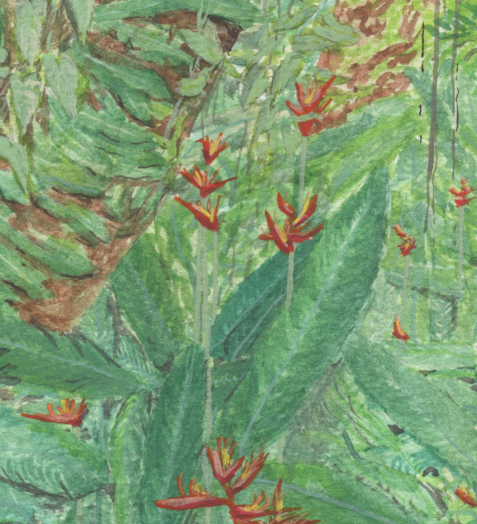 "Birds of Paradise" Original Watercolor Painting