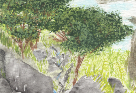 Mountain Stream