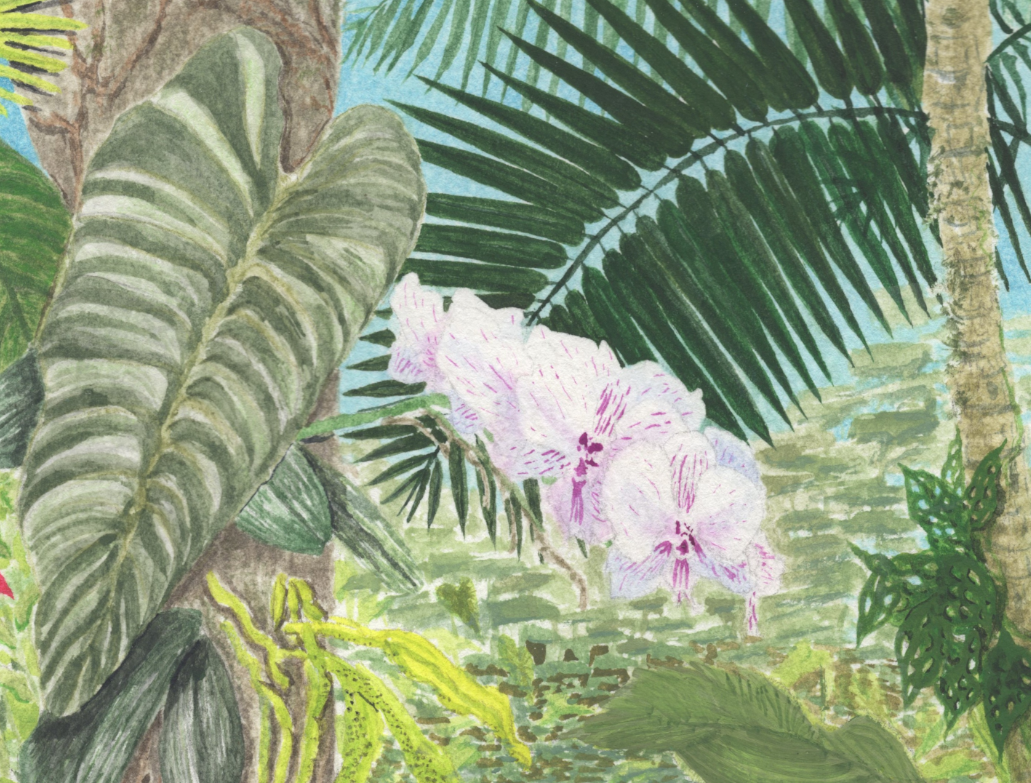 "Orchid" Original Watercolor Painting