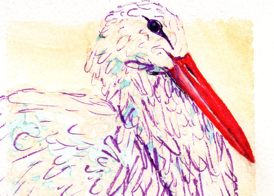 "Stork" Original Watercolor Painting