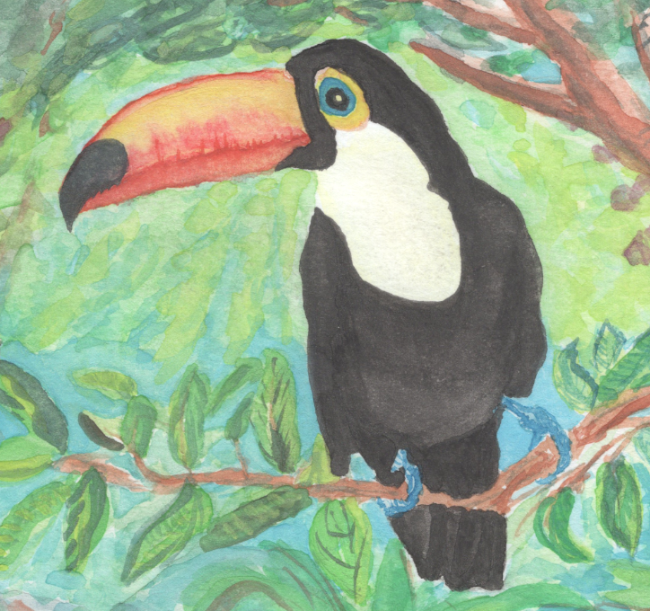"Toucan" Original Watercolor Painting