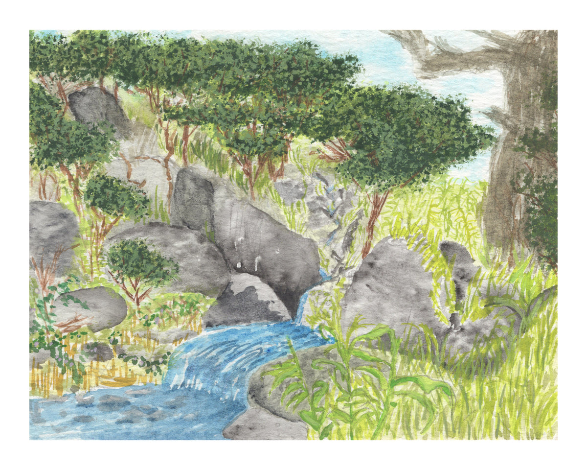 Mountain Stream