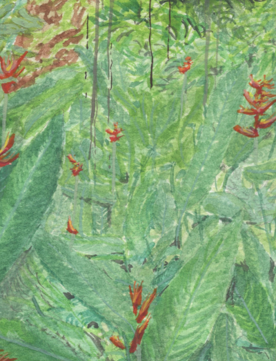 "Birds of Paradise" Original Watercolor Painting