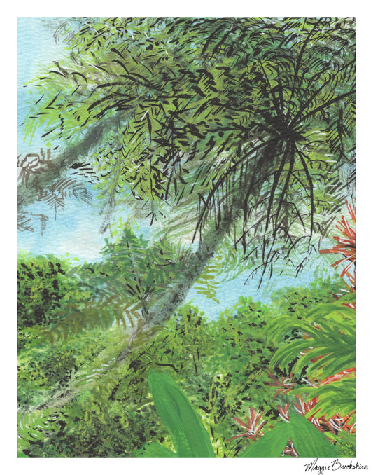 Libby's Favorite Palm