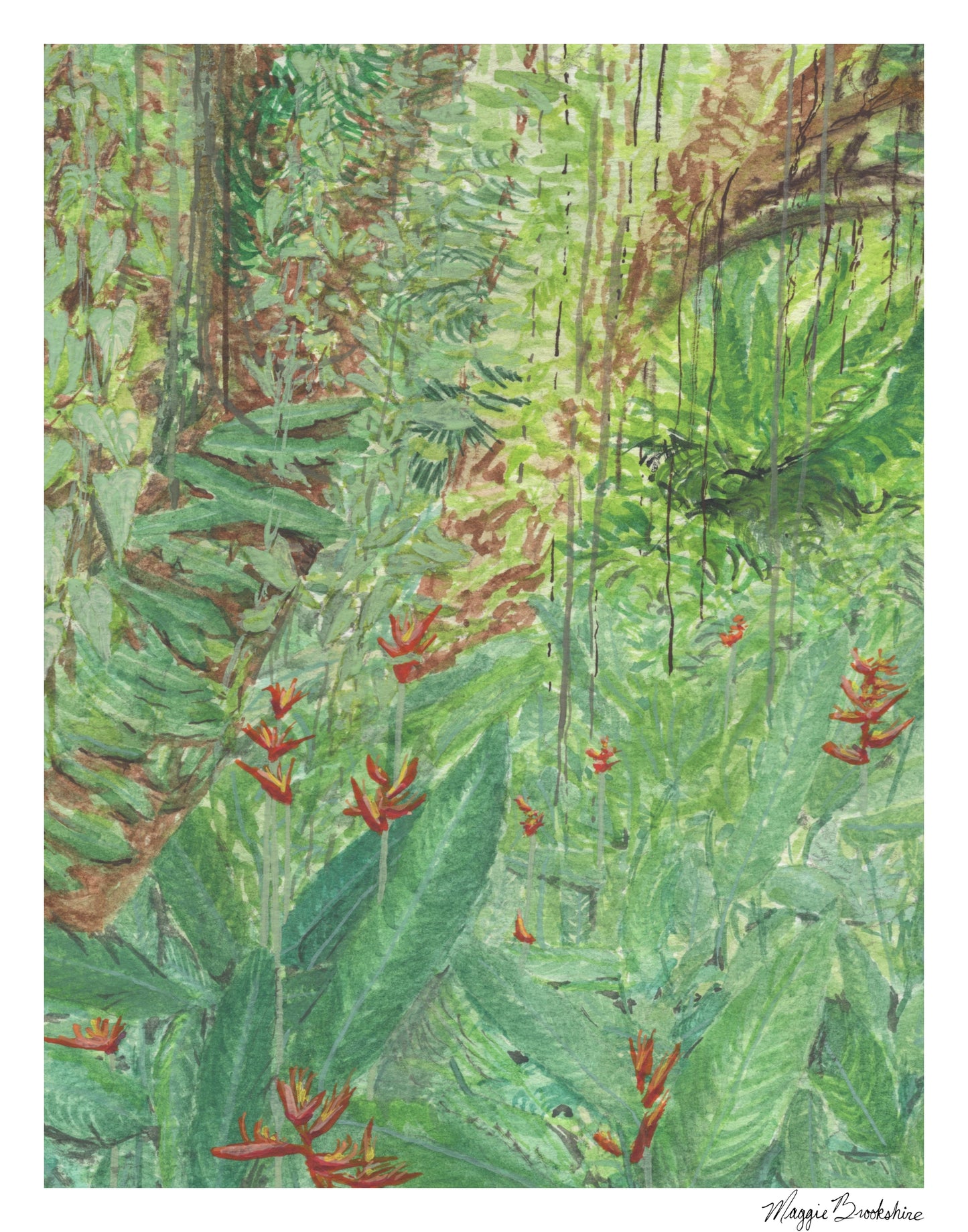 Birds of Paradise