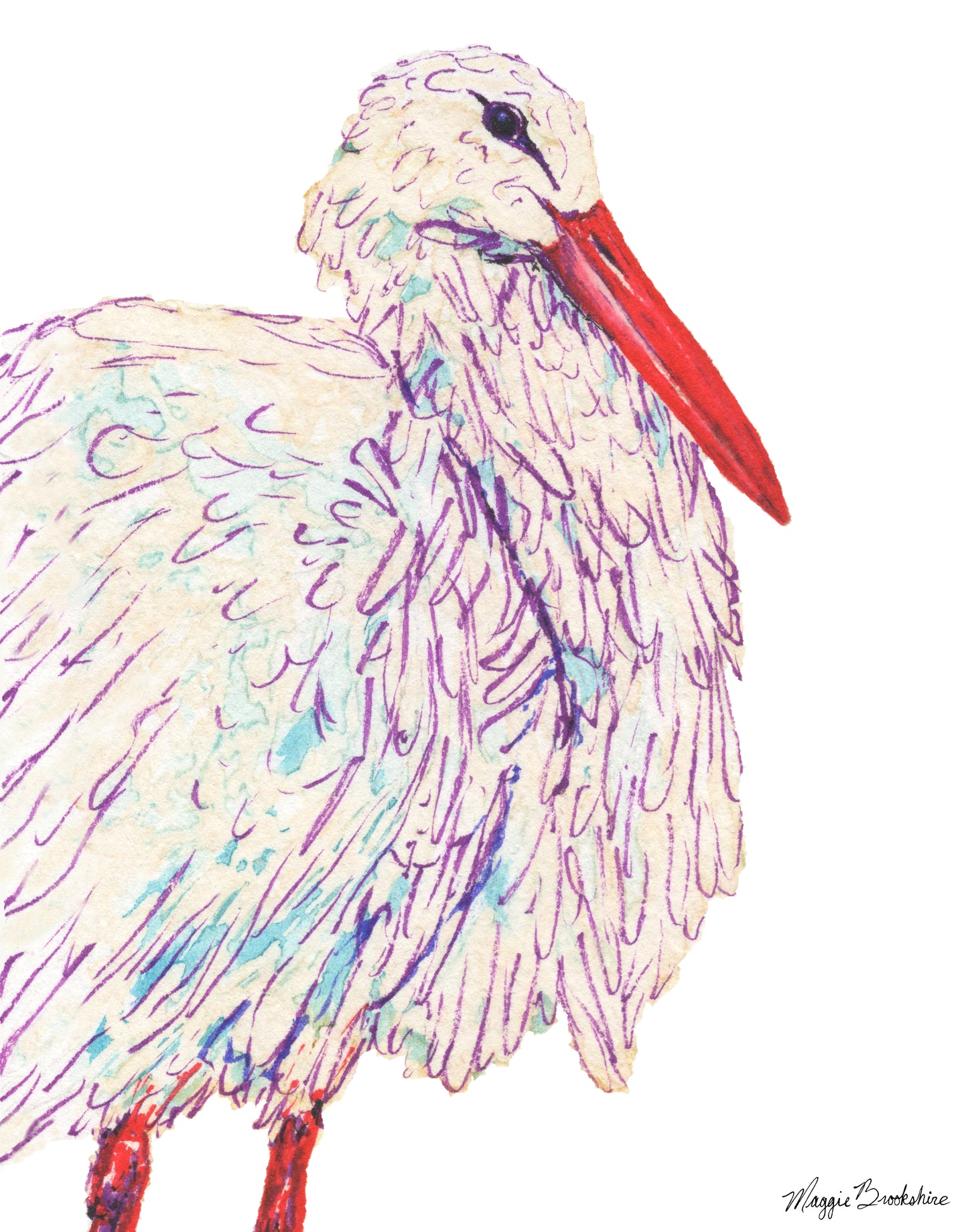 White Stork
