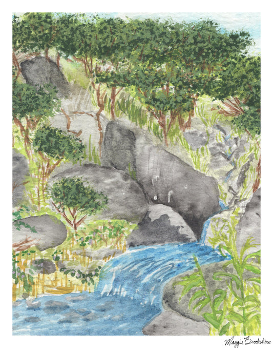 Mountain Stream