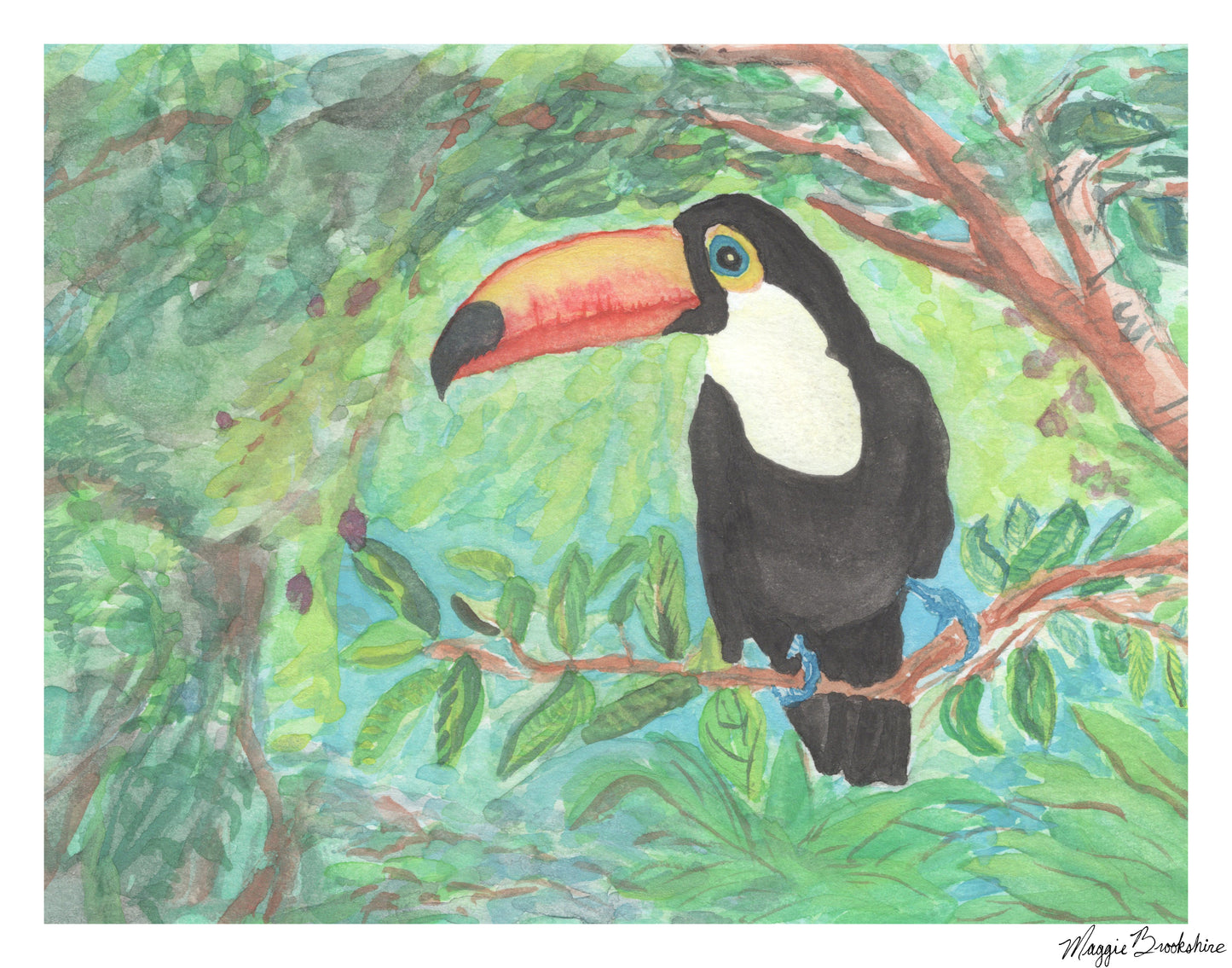 Toucan