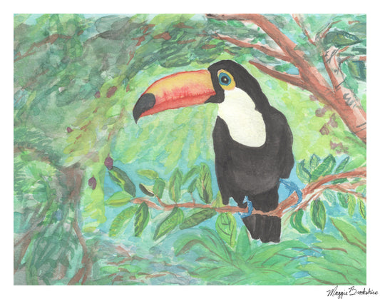 Toucan