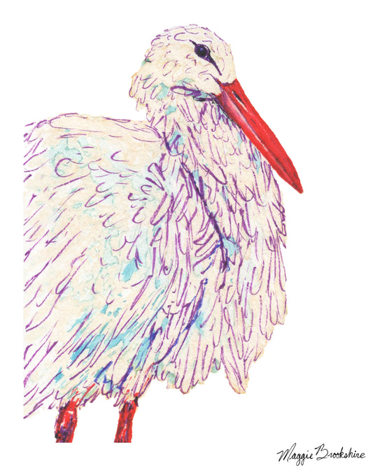 White Stork