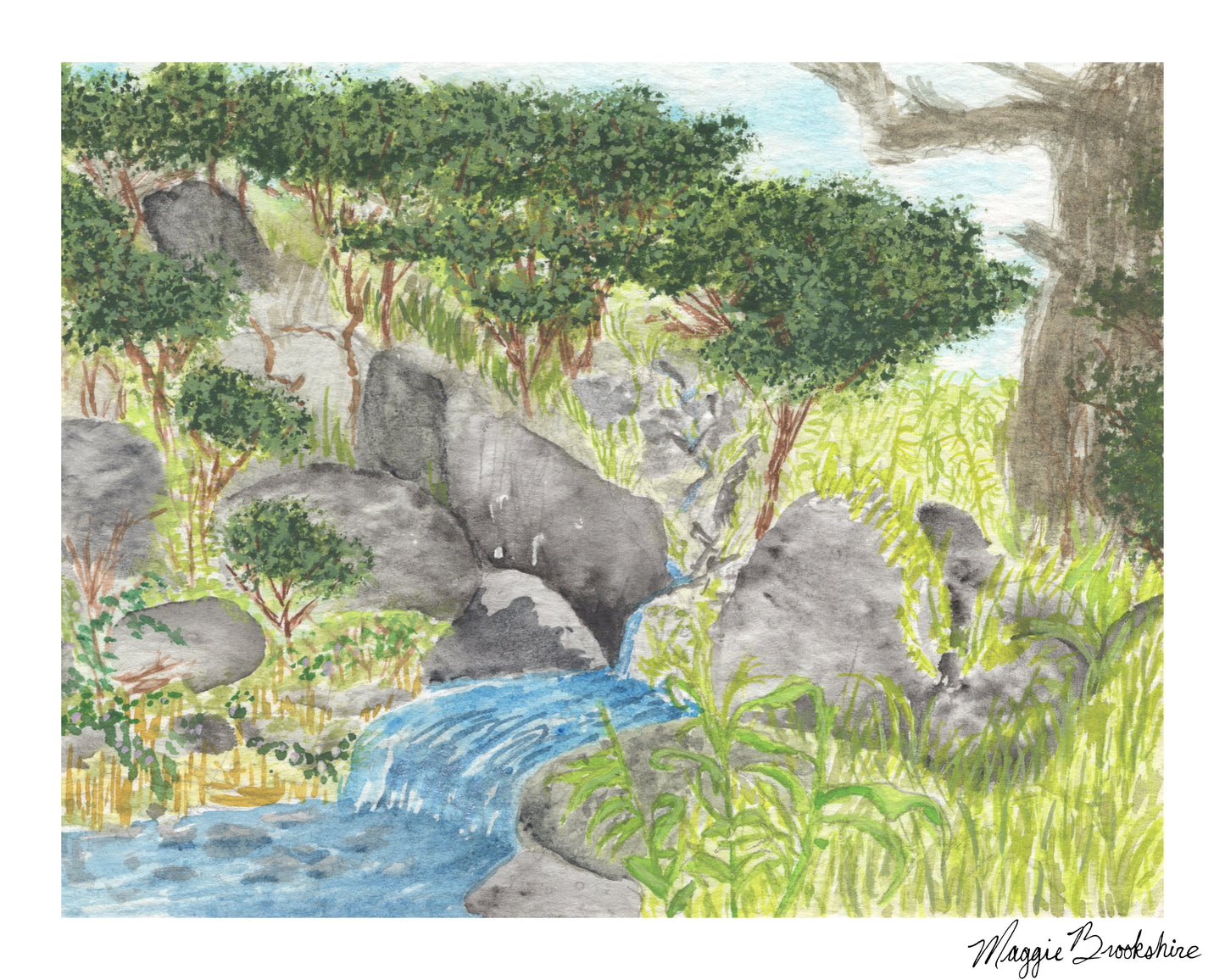 Mountain Stream