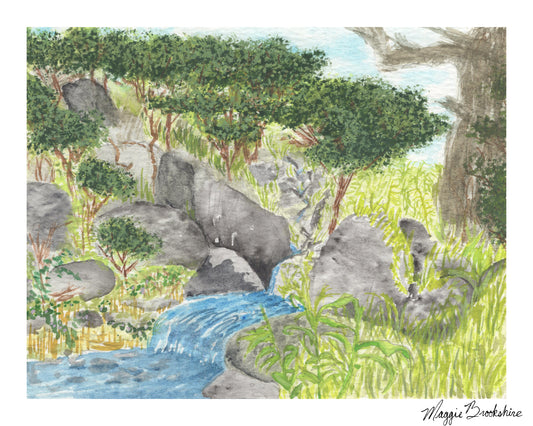 Mountain Stream